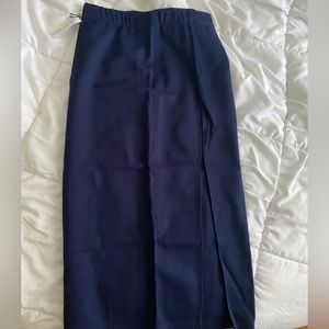 Aritzia Pencil Skirt